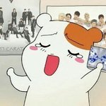 [세븐틴] 서가대현장에있는<b>영희</b>들아!