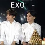[EXO] 엑<b>셀들</b> 참신함에 또한번 감탄한다..