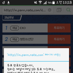 [방탄소년단] (<b>쌀</b>)미투표