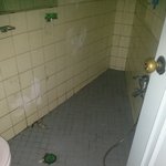 전셋집 나가려는데 장판<b>보상</b>하라는 집주인남동생 어찌할까요?