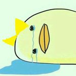 [드루와] 입냄새없애는법아는사람