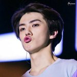 [EXO] 난 입덕부정함