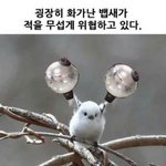 [방탄소년단] ㅇㅇ우래들 흙<b>수저</b> 갈고닦아서 금수저 만든 애들임