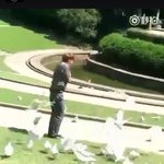 [EXO] 장사장의 비행을 미리 축하해주는 비둘기들. <b>jyp</b>