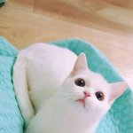 <b>미리</b>보기방지)쌍수한사람들 컴온