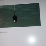 [방탄소년단] 방탄 미궁<b>게임</b>!!