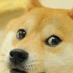 [인피니트] 갑자기 느끼는건데 애들 좋아하는 거