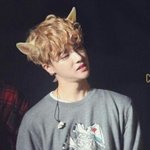 [아이콘] 솔직히 덤앤더머