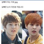 [EXO] 얼굴책에 우리 밍서기가