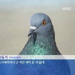 [EXO] 룰기 쇼탐에서 제일빡도는게 준면이 <b>여주</b>연기 못하게한거