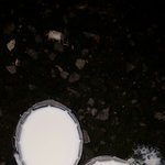 고양이울길래 <b>우유</b>놓고왔는데