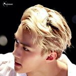 [EXO] 작년<b>콘</b>에서 물돈<b>크</b>할때