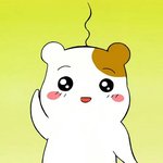 [인피니트] 안녕 규<b>스타</b>뚜보고 온 타팬인데
