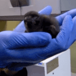 [EXO] 따자하오 <b>난동</b> 사과글