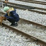 [방탄소년단] <b>납치</b>하고싶다