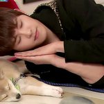 [인피니트] 내 발목<b>인대</b> 뽑아서 호원이주고싶다