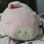 [방탄소년단] ㅅㄷ투모로<b>우스</b>밍
