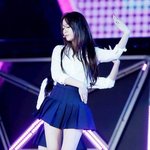 [솔직히] 드콘 피해자는 샤이니+샤월아니였음?