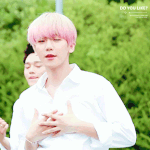 [EXO] 아갑자기둘기들빡친다