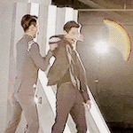 왜 노출짤털에 반응이없냐 부끄러운척하지마 그러니까 귀여운짤 <b>털털</b>