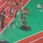 +)아육댘ㅋㅋㅋㅋㅋ