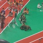 [방탄소년단] ㅂㅌㅂ <b>서은</b>말님