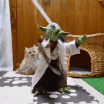 흐규 너무 바빠서 <b>판질</b>도 못했네