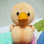 [EXO] 내<b>머리맡</b>에두고자는인형인데