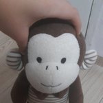 [EXO] 우리집에 있는 <b>원숭이</b> 인형인데 왜 찬열이같아보이지