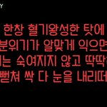 [세븐틴] 세븐틴 <b>믹스</b>테잎 (Wally -우지 버논 에스쿱스)