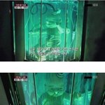 인공<b>자궁</b>의 상용화만 남은건가..이제
