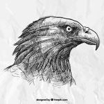 뇌섹남 이야기 - <b>용도</b> 분석