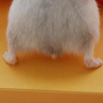 <b>cctv</b>에 찍힌 사랑둥이의 뒷다리