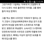 [EXO] 이 기사 핵사이다