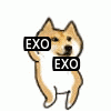 [EXO] ㅅㅂ덕질이이렇게재밌는건줄<b>처음앎</b>