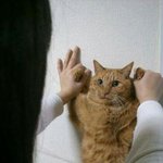 [댓글부탁해] 머리스타일