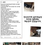 [<b>동행</b>세상] 식용견이 아닌 반려견입니다.