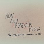 [방탄소년단] ㅅㄷ이삐들 일코짤은 뭐야