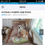 순천유기견보호소 희망해모금도와주세요~!