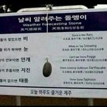 [EXO] 야 시발 이거 봐 ㅋㅋㅋㅋㅋㅋㅋㅋㅋㅋㅋㅋㅋㅋㅋ