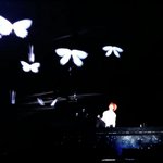 [방탄소년단] 나 진짜 오늘삘 받아서 <b>Butterfly</b>만 듣고있는데