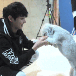 [<b>방탄소년단</b>] 와 근데 전정국 조나 부럽다