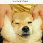 [드루와] 마트에서 일하시는 청소부 아주머니