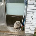 [동행세상] 누군가가 일부러 <b>집앞</b>에 버리고간 호두