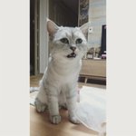친구의 결별 <b>소식</b>을 들었을 때