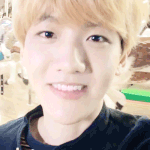 [EXO] 백현이는 시발 사랑스러운<b>생명</b>체야