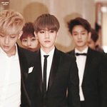 [EXO] 믿어요.. + 둘기<b>주의</b>