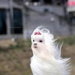 @@@다이소화장품&amp;<b>잡동사니</b>후기@@@