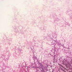 [방탄소년단] +)한번만 읽어주실래요 여러분들