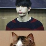 [VIXX] 정택운은 고양이가 인간이 된것처럼 생겼네요
